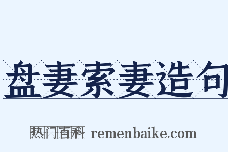 盘妻索妻造句是什么意思的图片